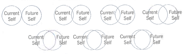 Future Self Venn Diagram